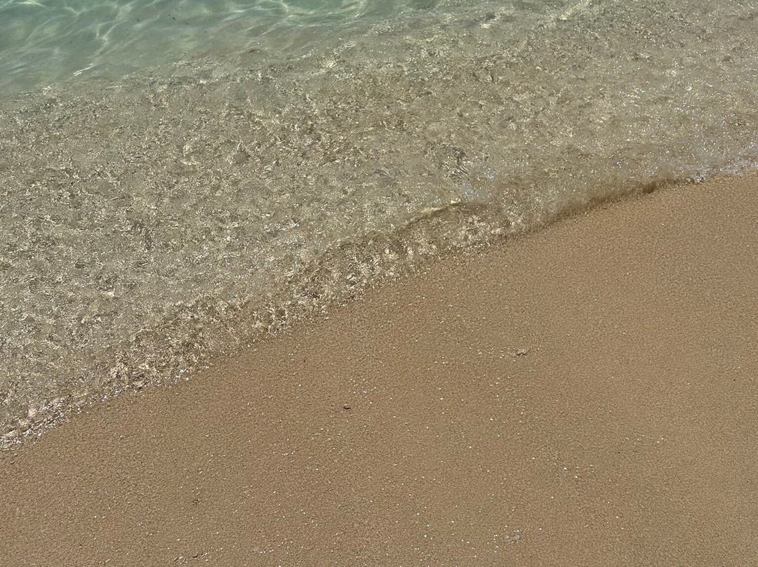 大夫洞海滩-蒙特戈贝必去景点
