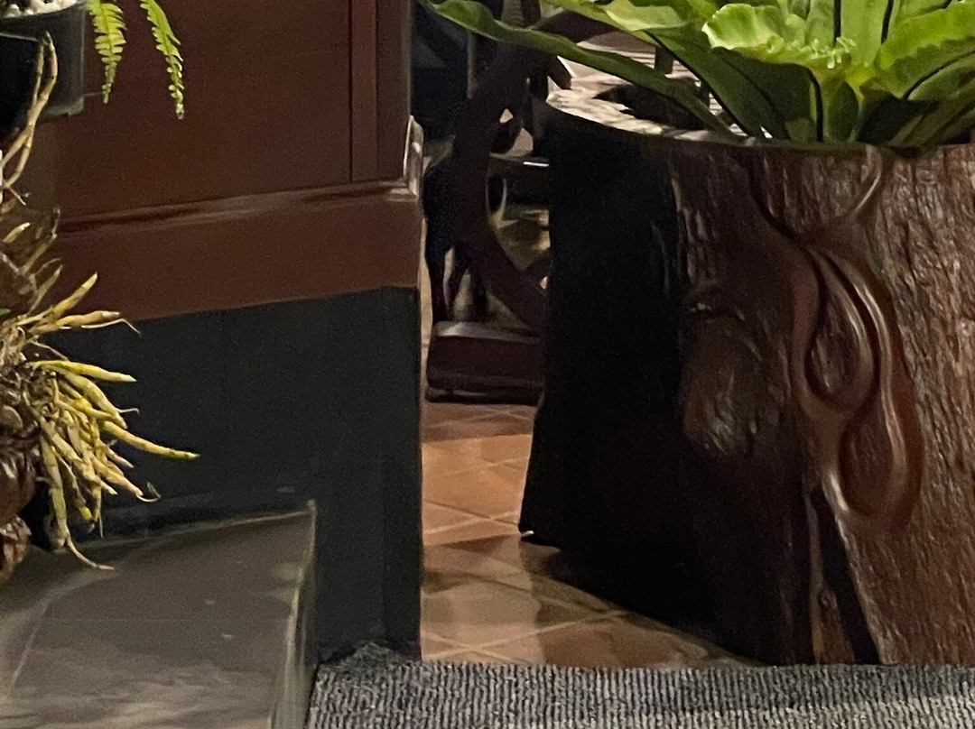 索兰娜精品酒店主图