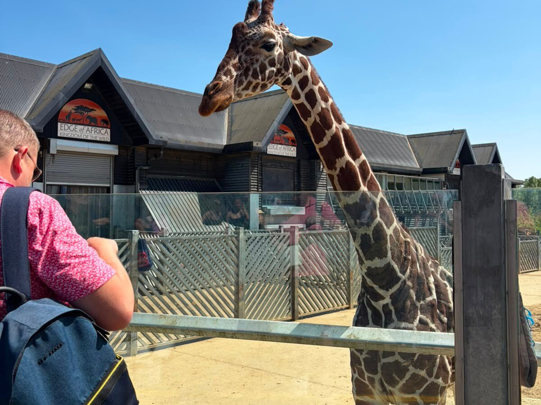 Colchester Zoo-科尔切斯特必去景点
