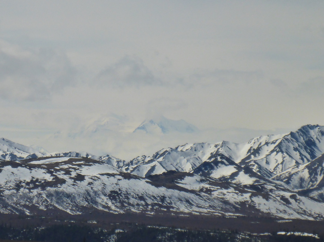 Tundra Wilderness Tour-Denali Park必去景点