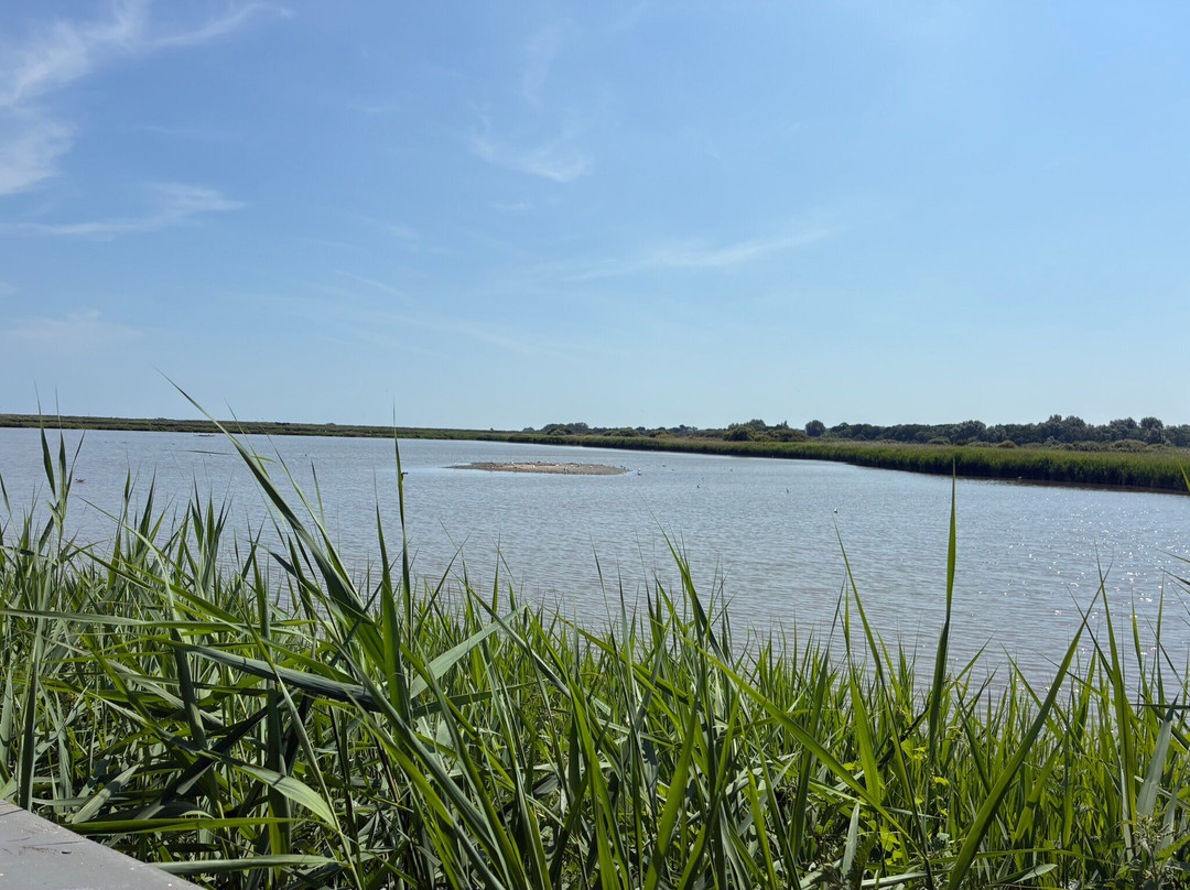 RSPB Titchwell Marsh-Titchwell必去景点