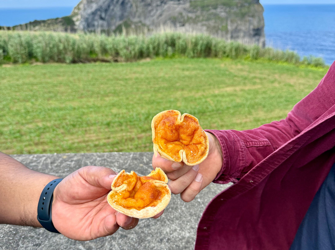 Endemic Azores-奥尔塔必去景点