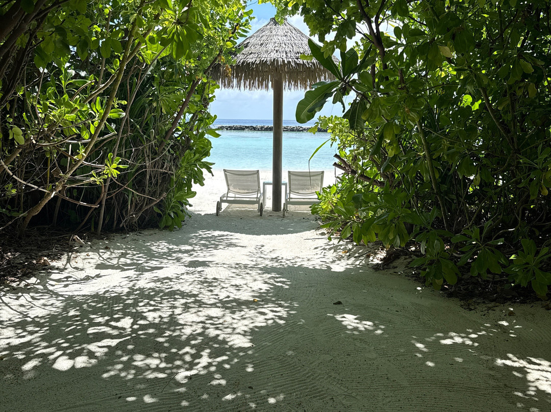 Joy Island Maldives by Cocoon Collection主图