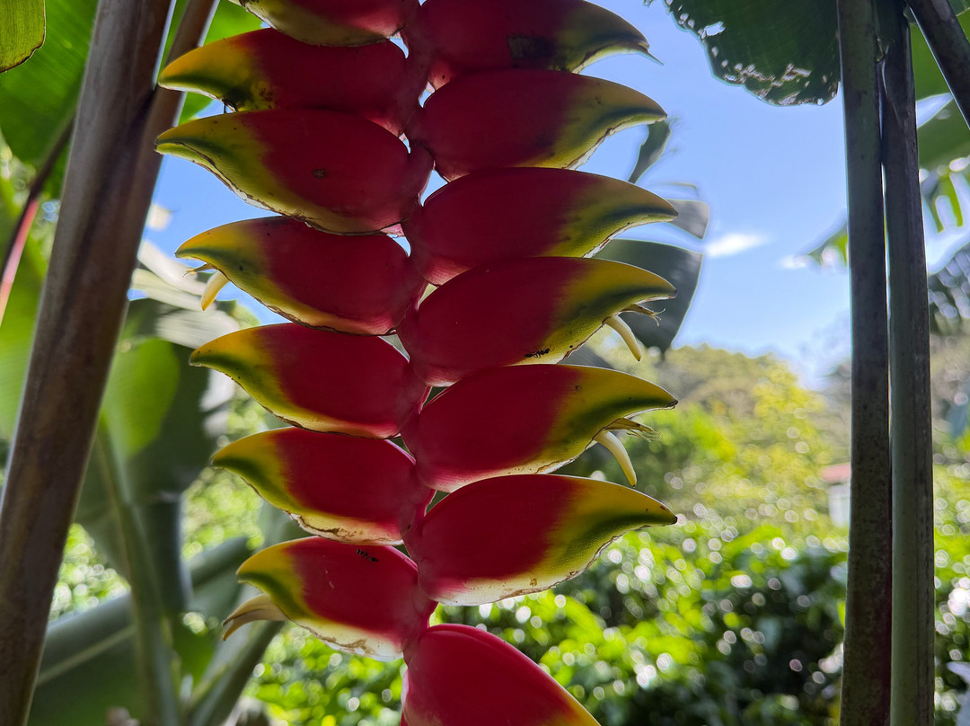 Arenas Travel Costa Rica-埃斯卡松必去景点
