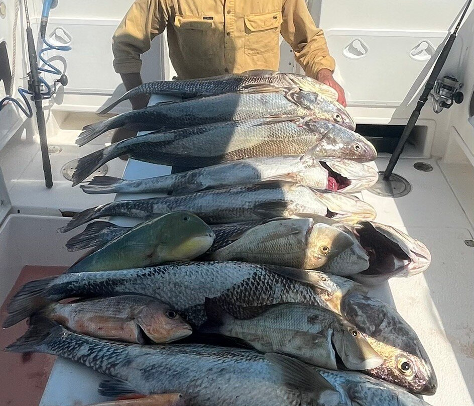 Equinox Fishing Charters-达尔文市必去景点