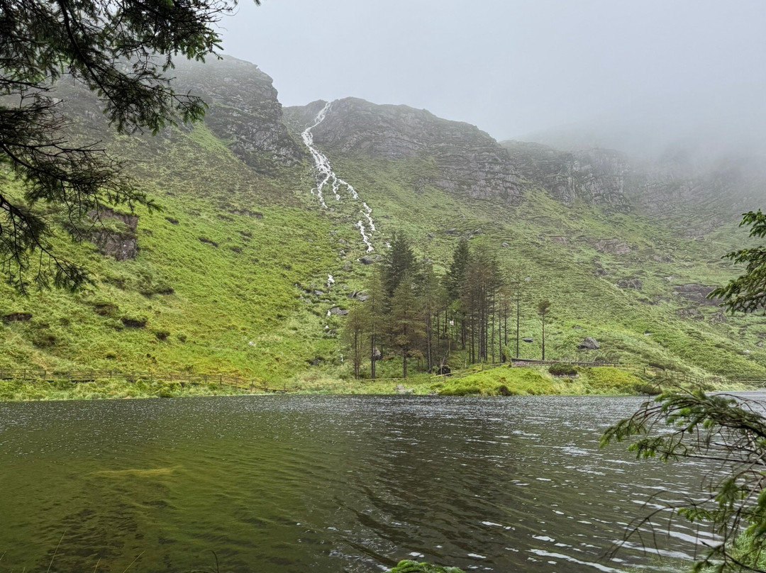 Glanteenassig Wood-Castlegregory必去景点