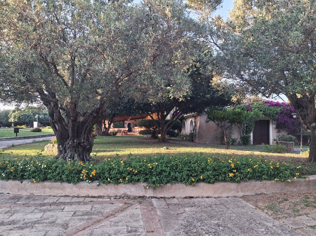 Fattoria Il Borghetto主图