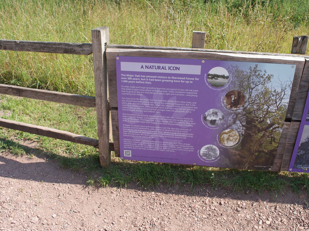 Sherwood Forest Visitor Centre-Edwinstowe必去景点