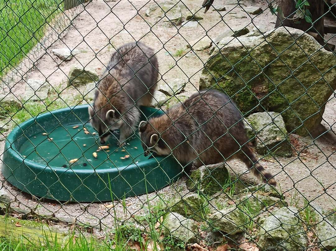 Wildpark Waldhaus Mehlmeisel-Mehlmeisel必去景点