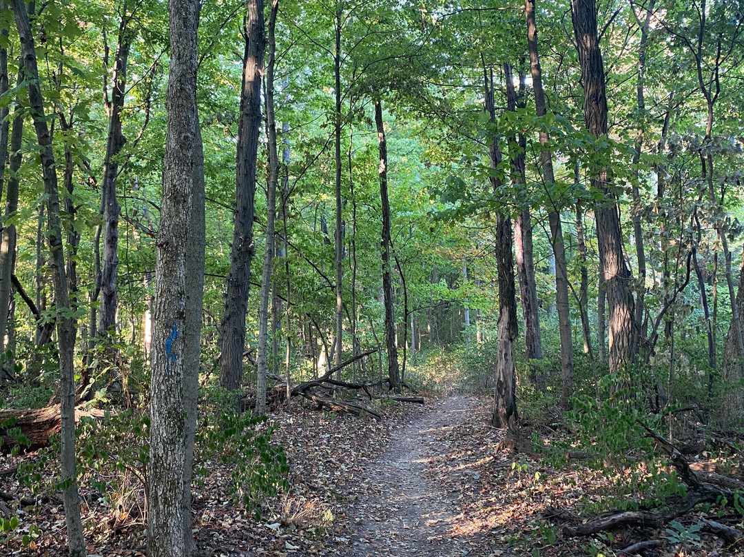 A.W. Marion State Park-Circleville必去景点