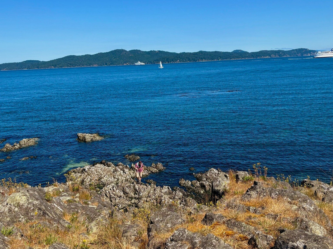 Ruckle Provincial Park-盐泉岛必去景点