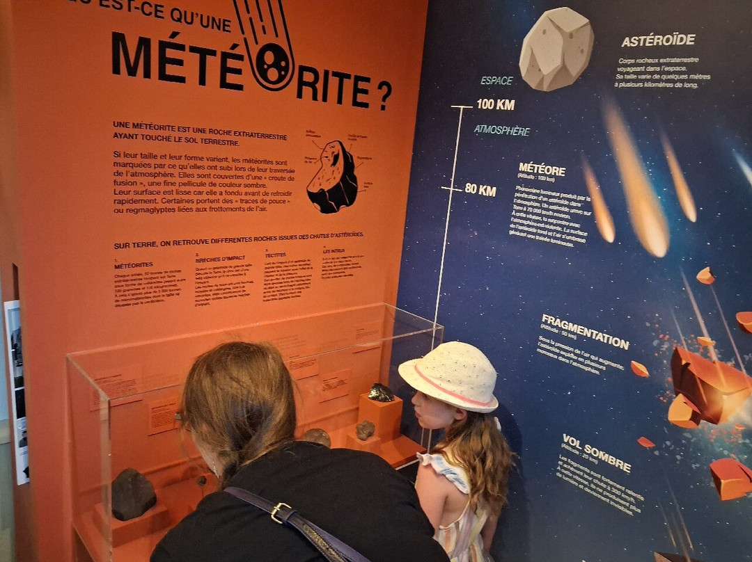Museum des Sciences Naturelles-昂热必去景点