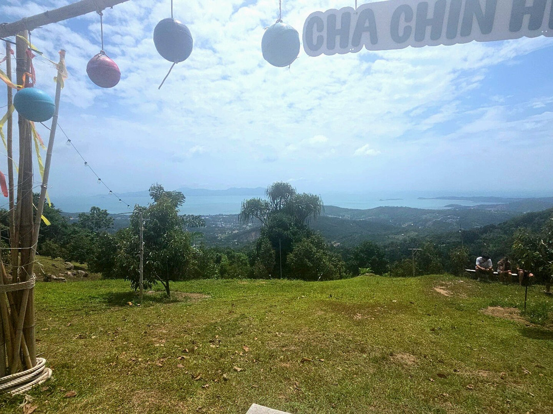 Major Safari Tour-利巴诺伊必去景点