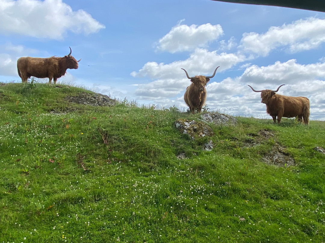 Kitchen Coos & Ewes-New Luce必去景点