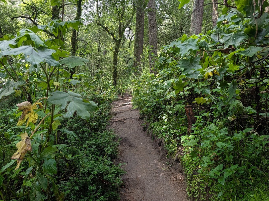 La Malinche National Park-Huamantla必去景点