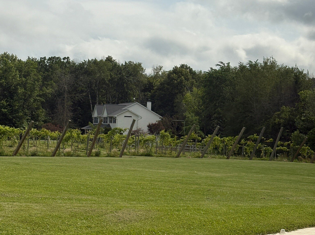 Duck Creek Vineyard  and Winery-Denmark必去景点