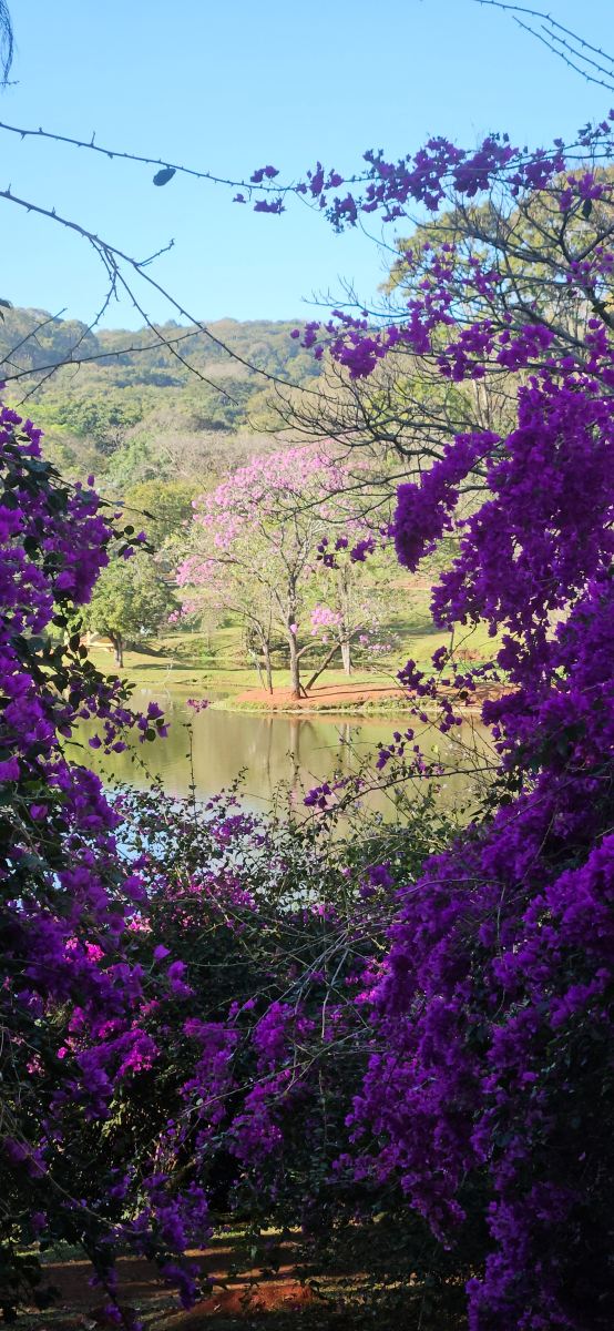 Grande Hotel e Termas de Araxá-旅行者