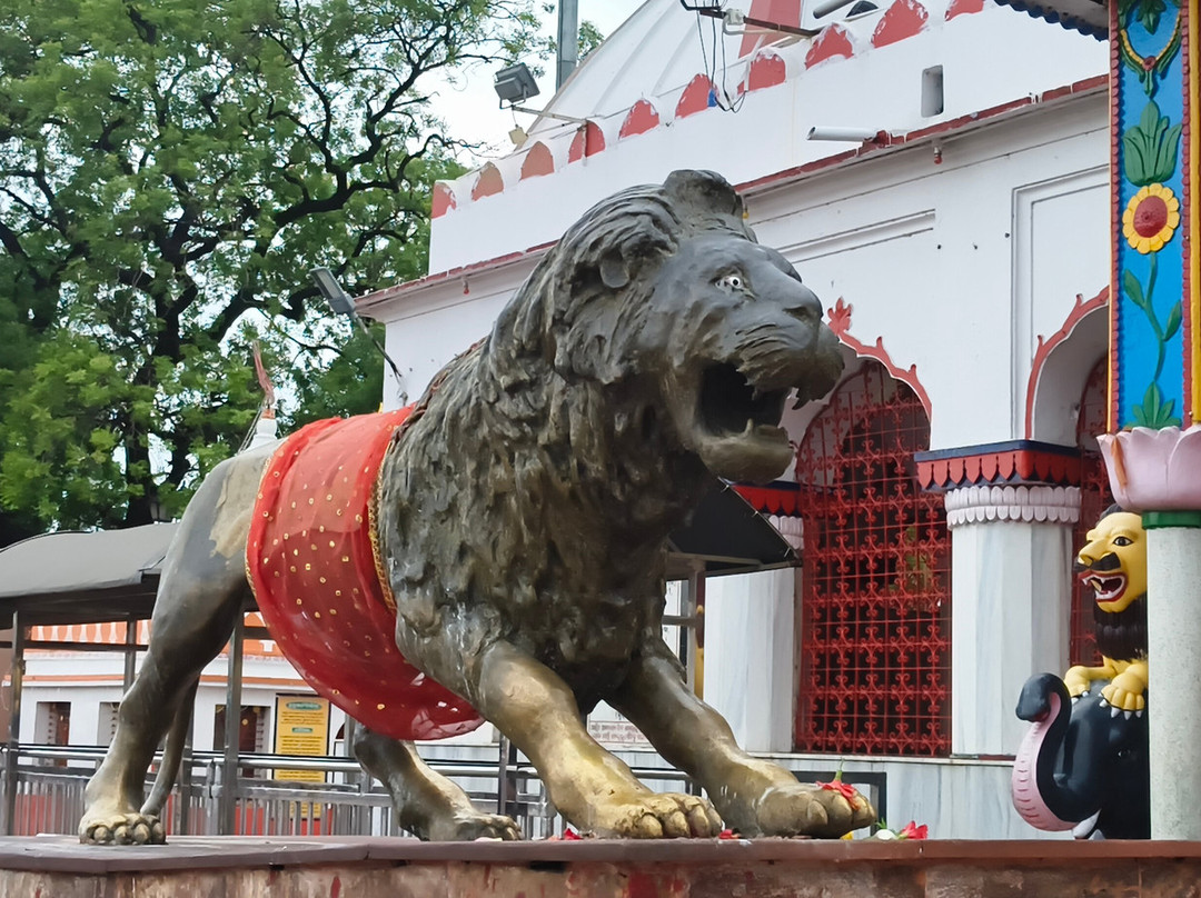 Samaleswari Temple-Sambalpur必去景点