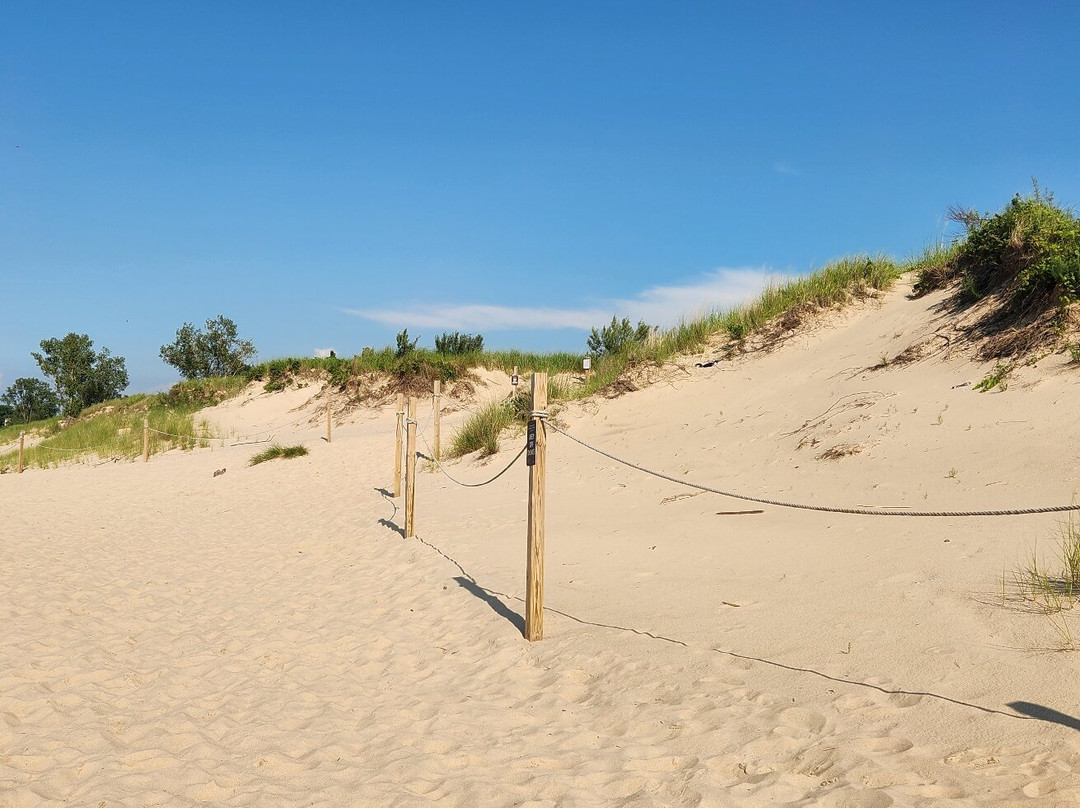 Dune Succession Trail