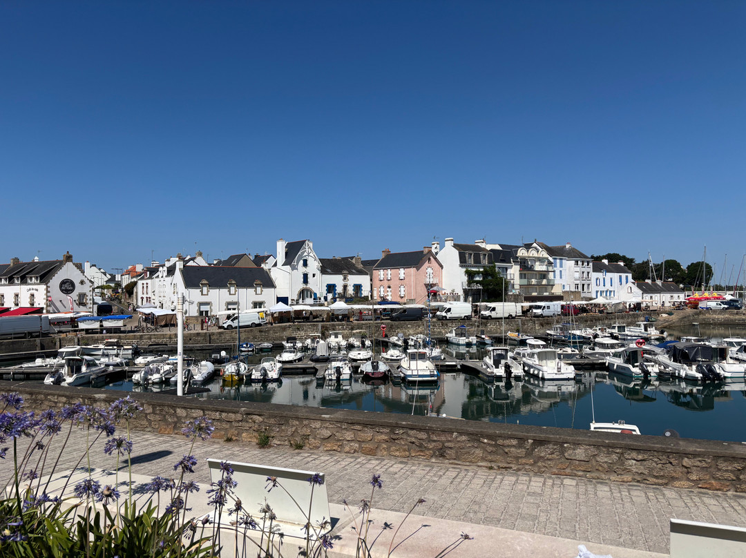 Le Petit Train de Quiberon-基伯龙必去景点