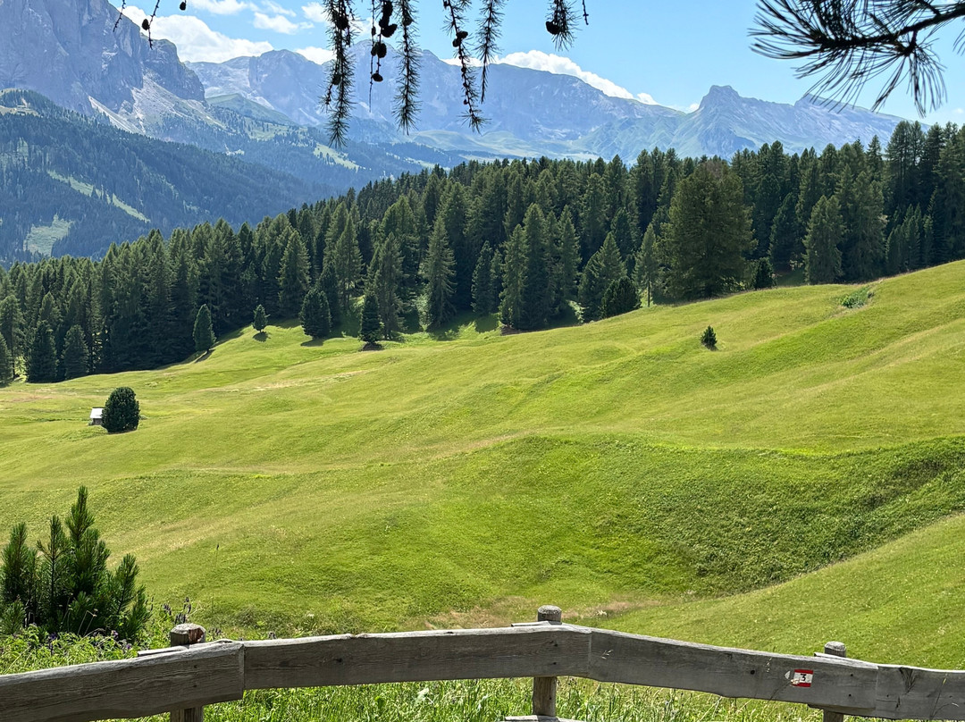 Col Raiser-Santa Cristina Valgardena必去景点