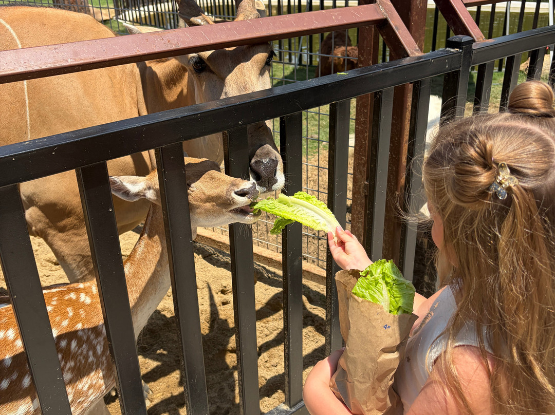Beavers Bend Safari Park-Hochatown必去景点