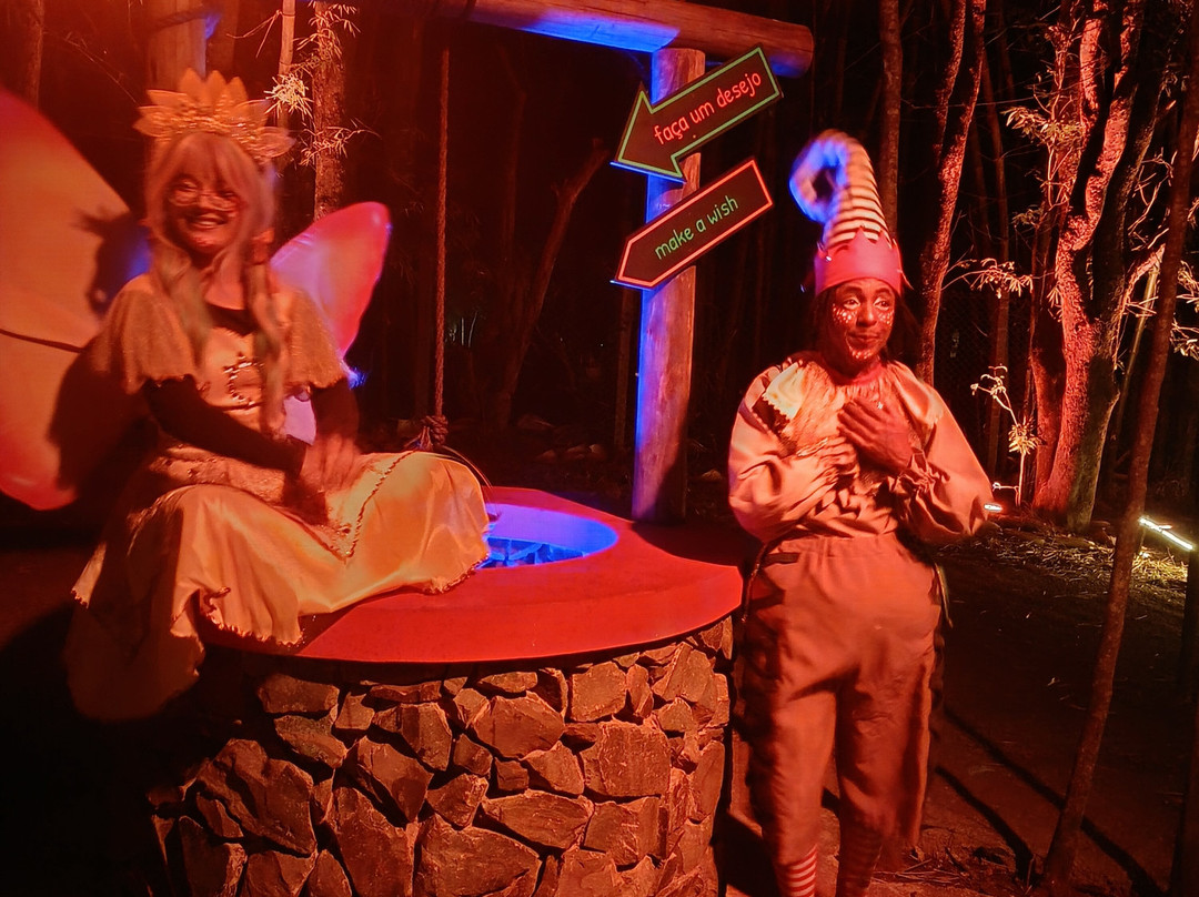 Dreams Park Show-伊瓜苏必去景点
