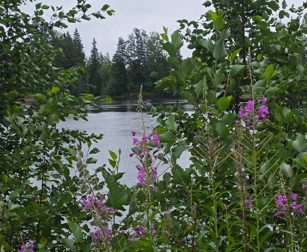 Dala River Adventure-Bjorbo必去景点
