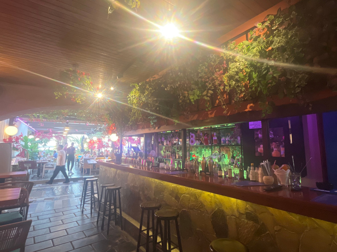 Stoa Garden Bar