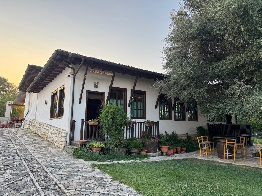 Cobo Winery-Ura Vajgurore必去景点