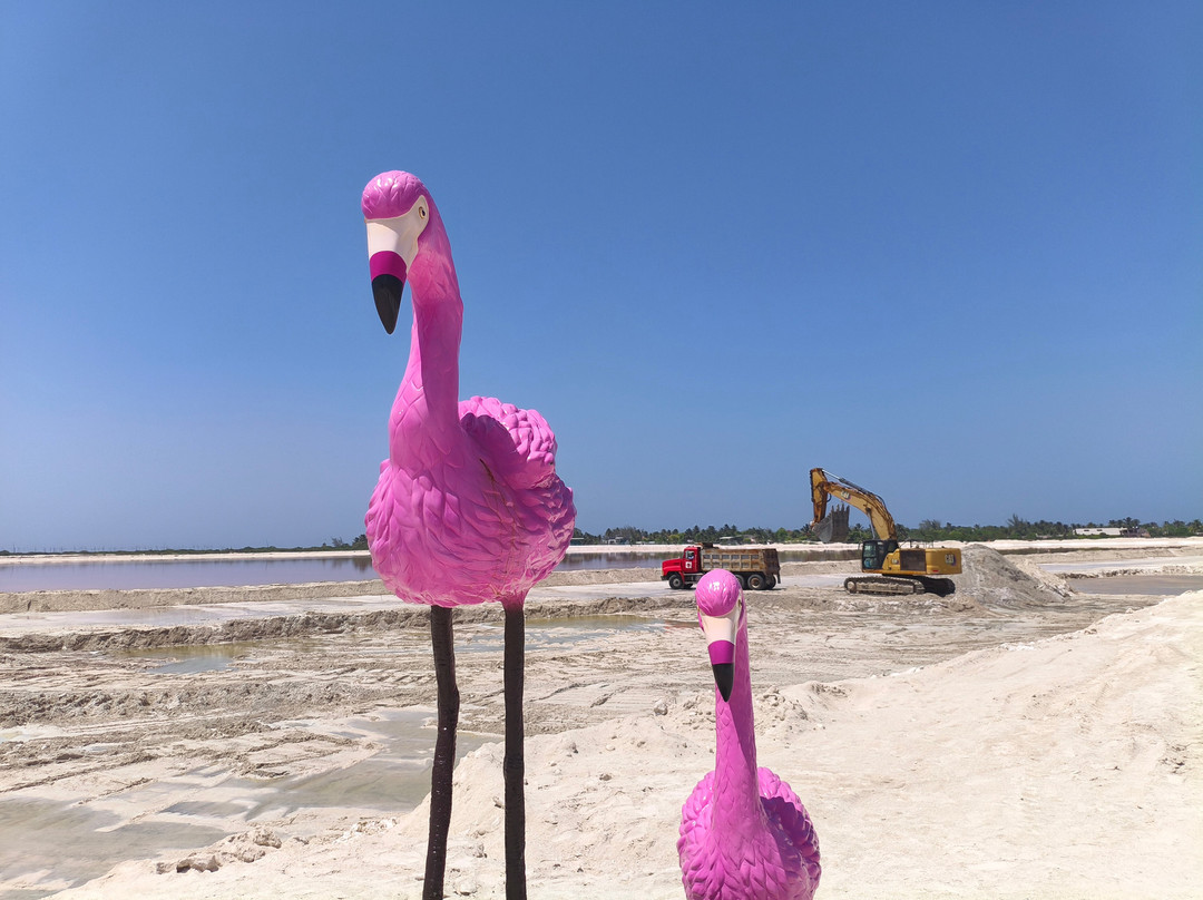Las Coloradas-里奥拉加托斯必去景点