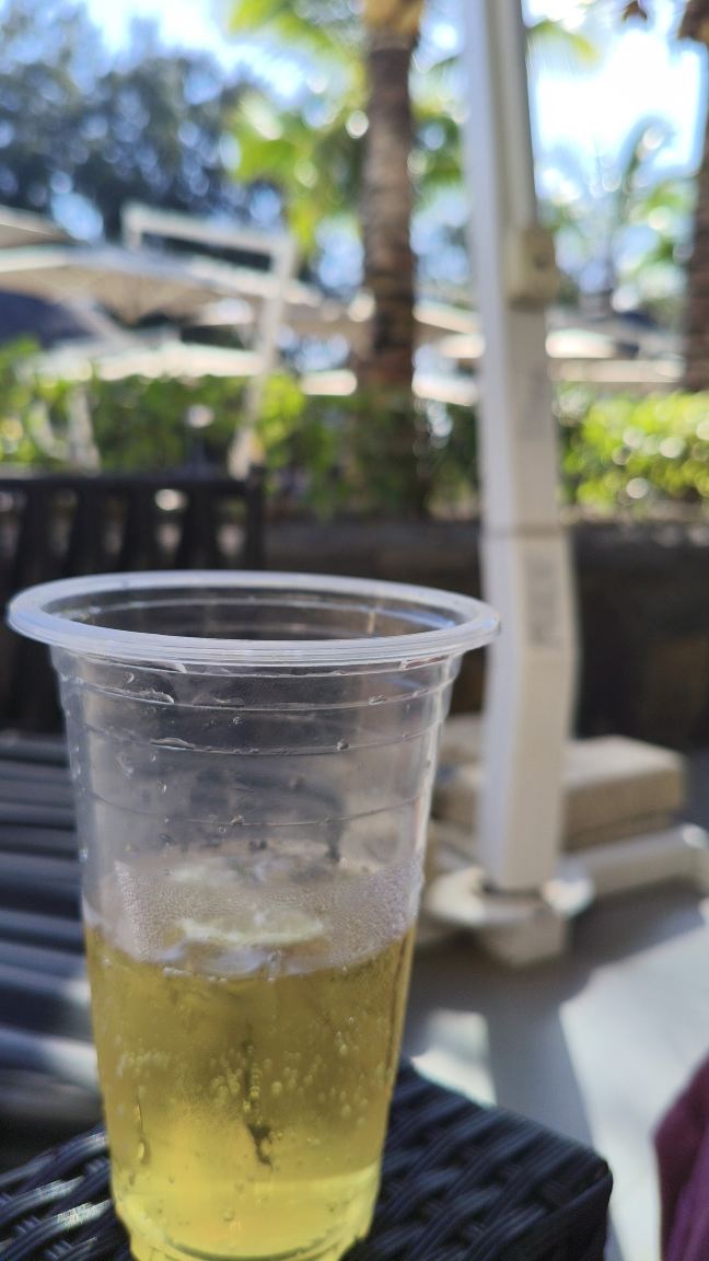 海洋溪海滩酒店-旅行者