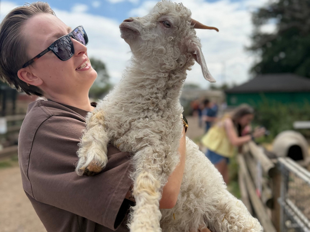Lucky Tails Alpaca Farm-Atherstone必去景点