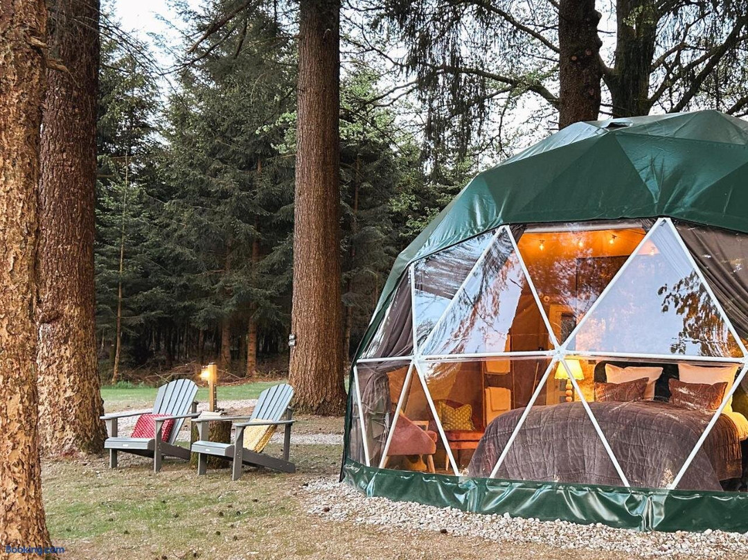 High Moor Glamping