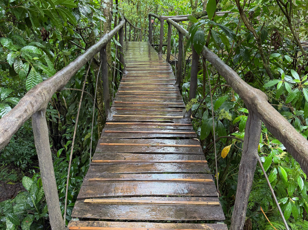 Brother's Adventures Tours-萨迪纳尔必去景点