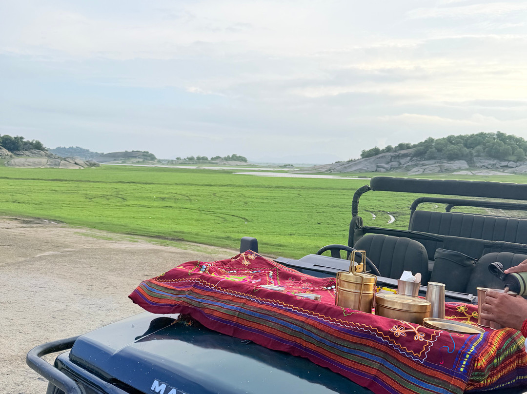 Brij Pola, Jawai - Luxury Jungle Camp with Private Pools主图