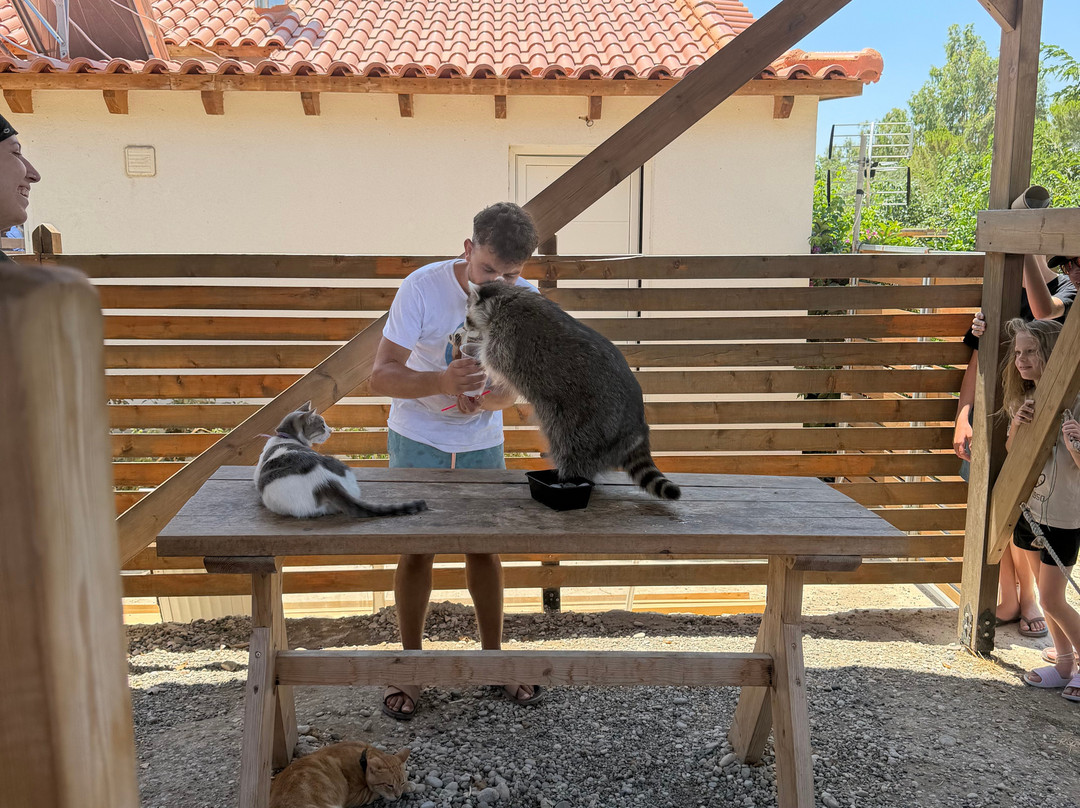 Farma of Rhodes Petting Zoo-Theologos必去景点