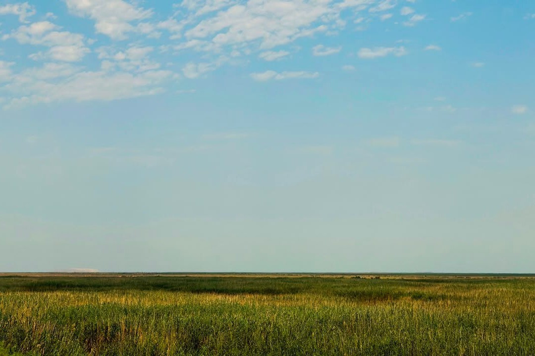 Shirvan National Park-Salyan必去景点