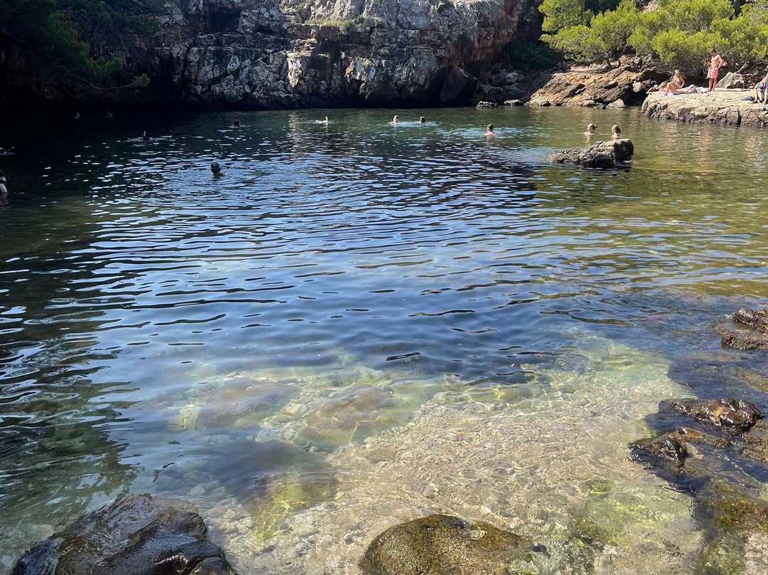 Lokrum Island-杜布罗夫尼克必去景点