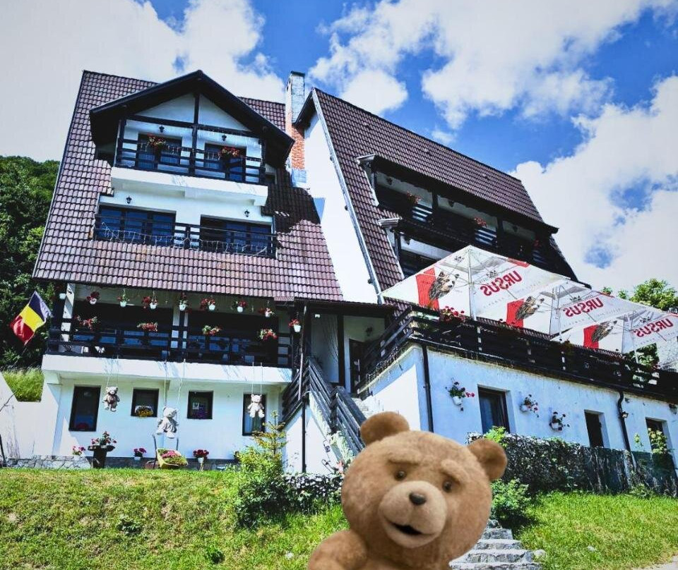 布兰酒店住宿-Pensiunea Ursulet Bran