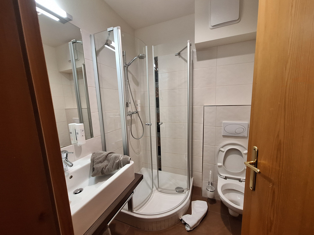 Hotel Domittner主图
