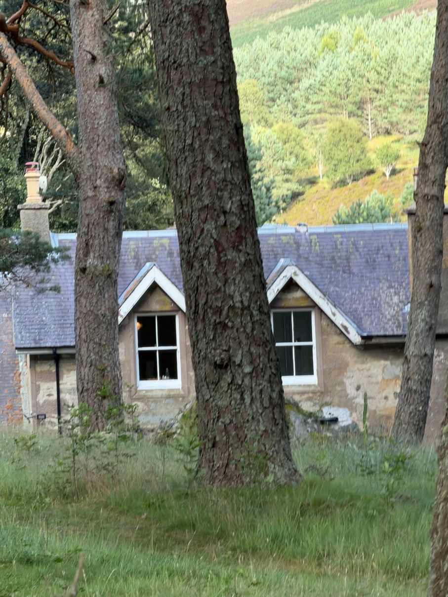 The Farmhouse B&B-旅行者