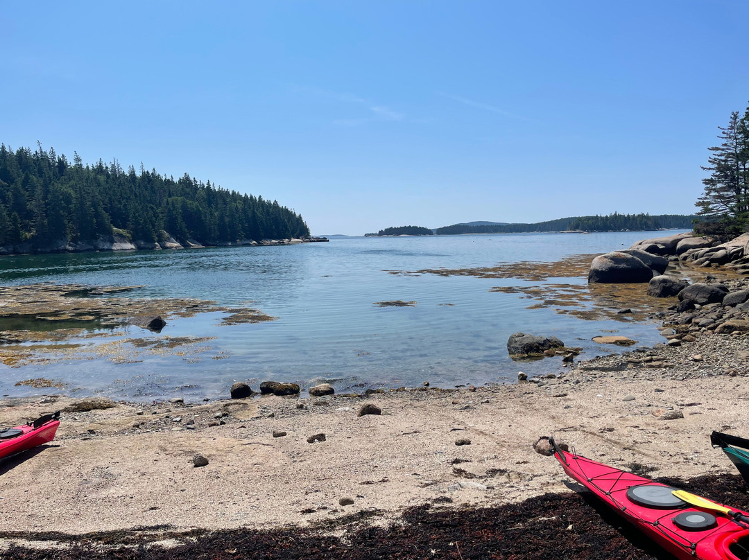 Osprey's Echo Sea Kayaking-Stonington必去景点