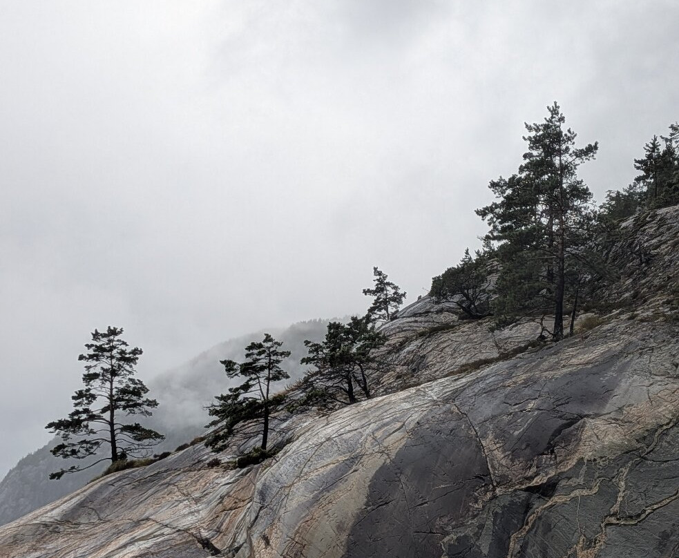 Hardanger Fjordsafari-Eidfjord必去景点