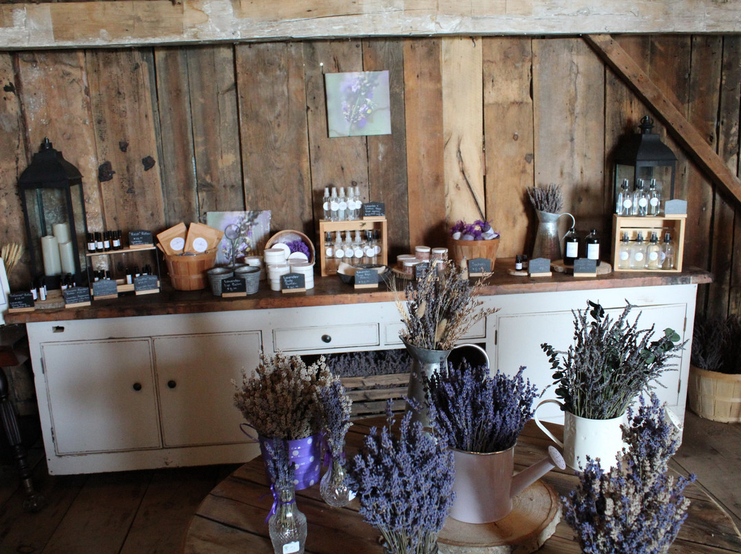 Gray Silo Lavender Farm