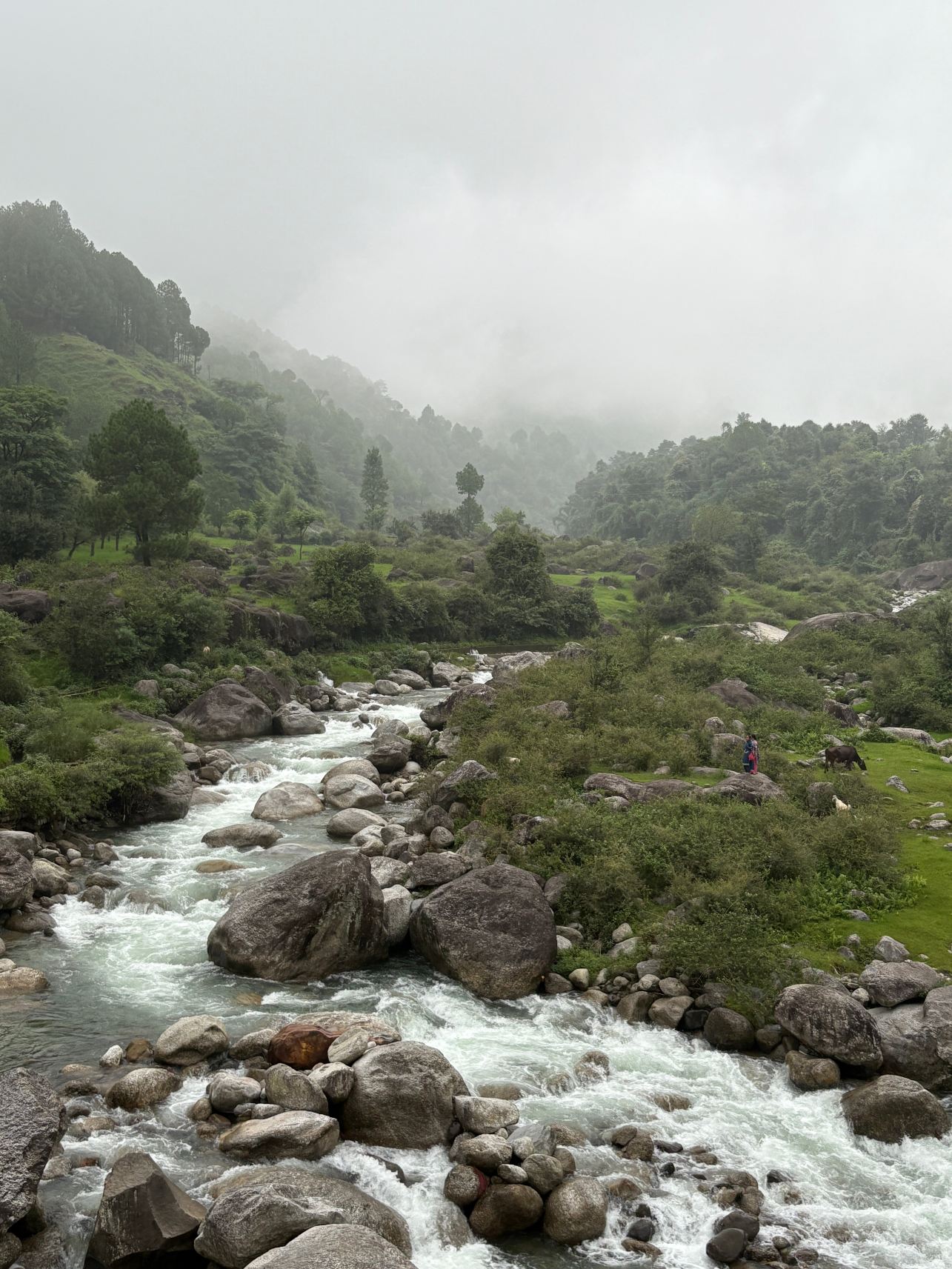 The Lodge at Wah, Kandbari-旅行者