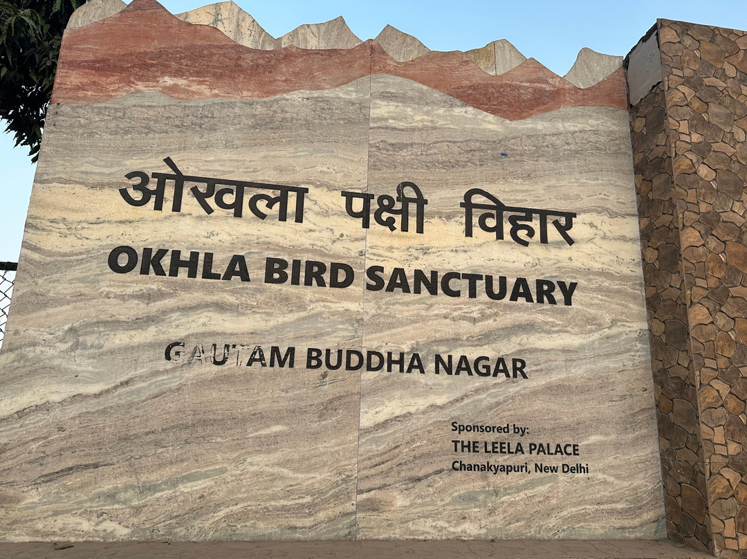 Okhla Bird Sanctuary-诺伊达必去景点