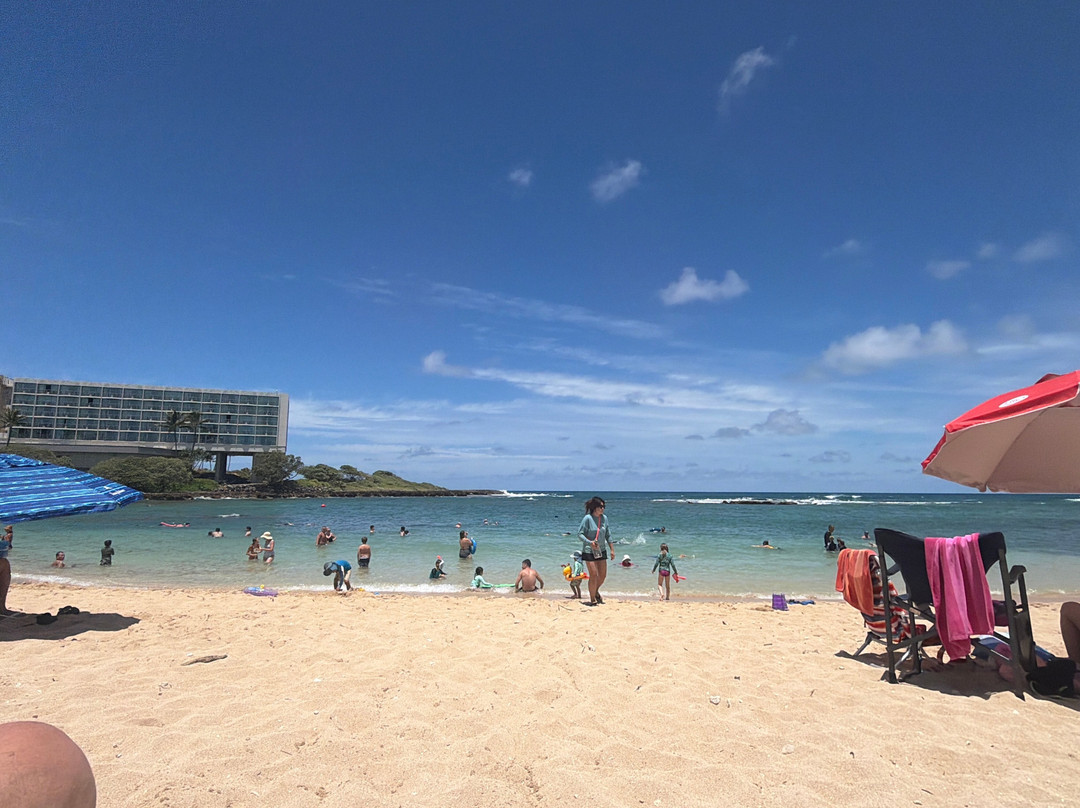 Turtle Bay Beach-卡胡库必去景点