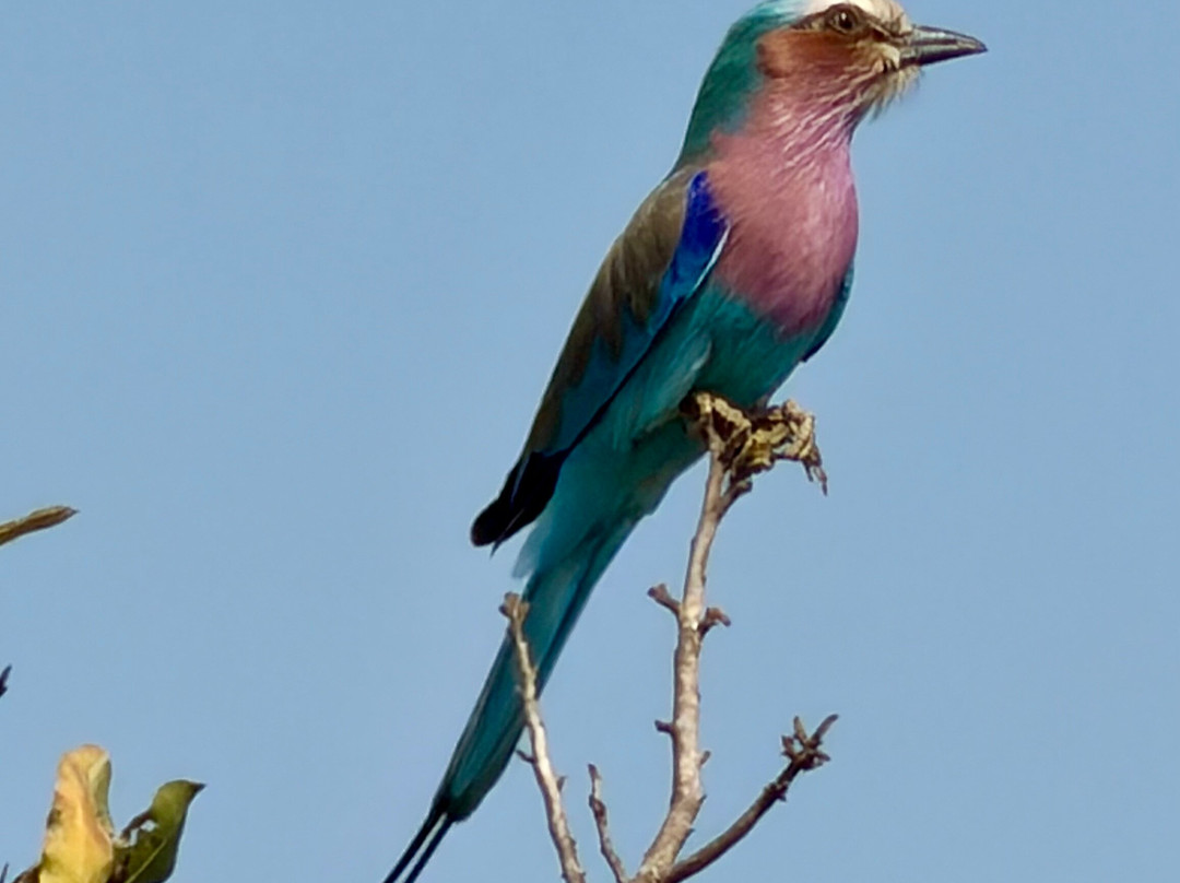 Southern Kruger Safaris-玛洛斯帕克必去景点