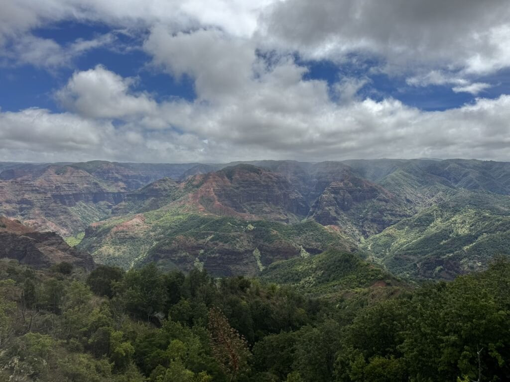 Iliau Nature Loop Trail-威美亚必去景点
